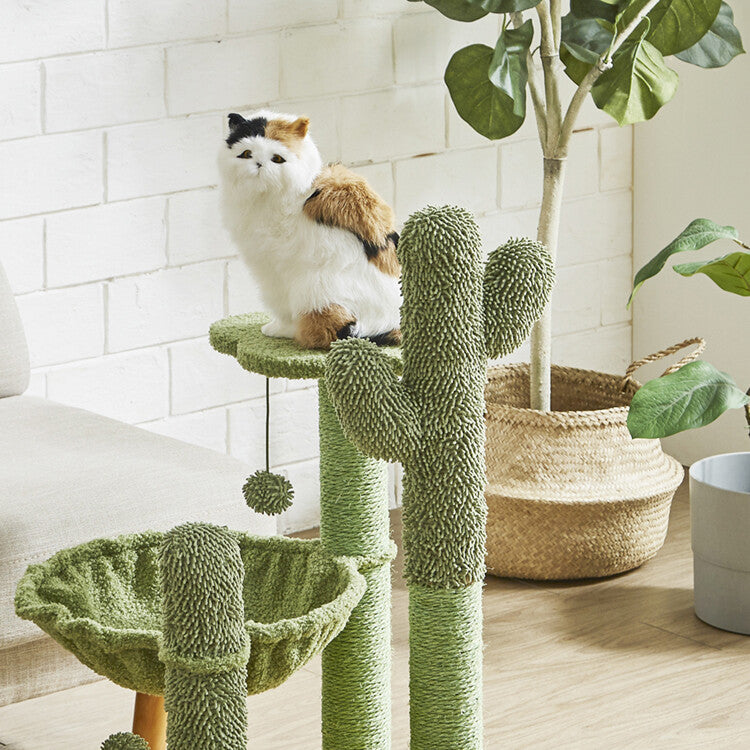 キャットタワー 猫 ねこ ペット おもちゃ さぼてん テディボア