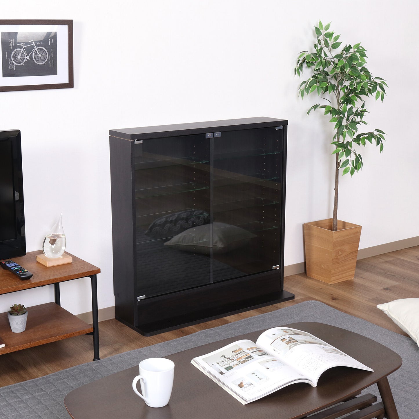 ガラスコレクションケース 浅型 ロータイプ 2色展開