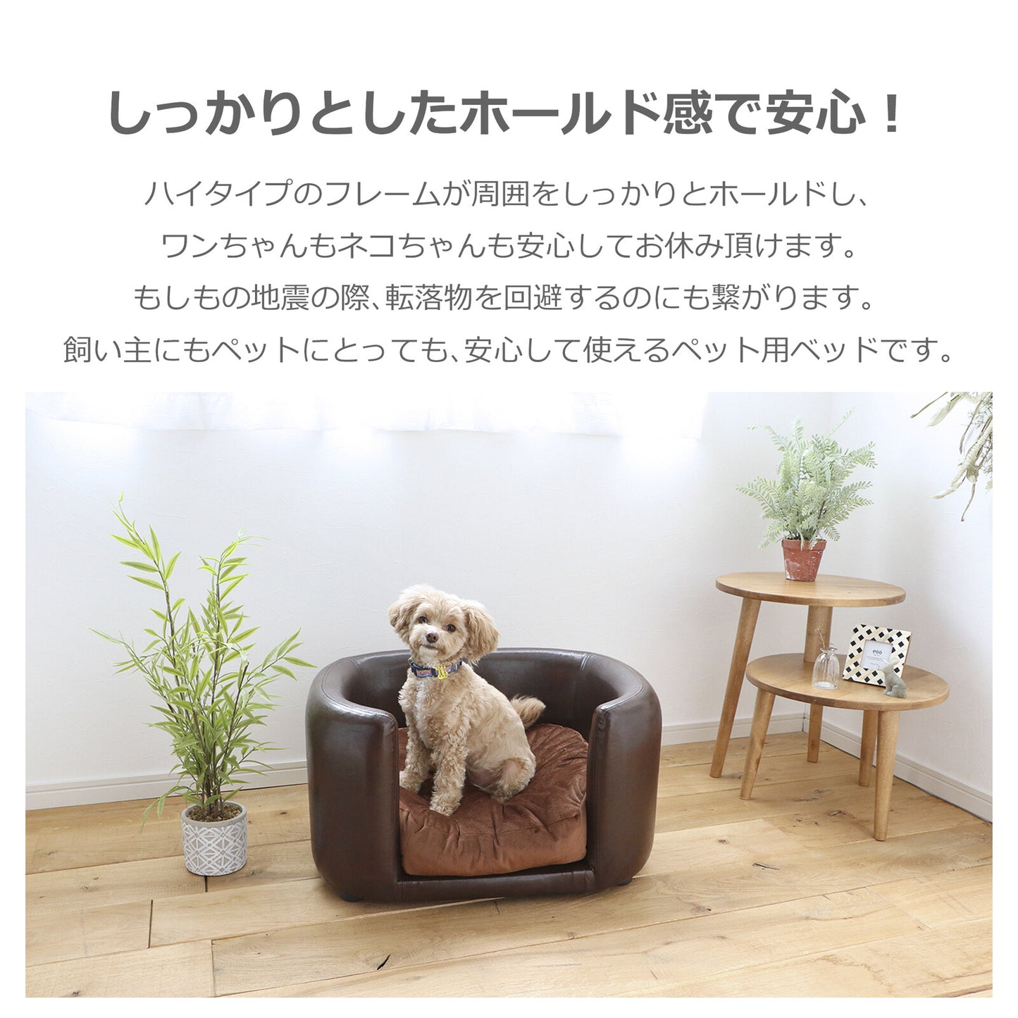 ペット用ソファ JUNO (ジュノ)