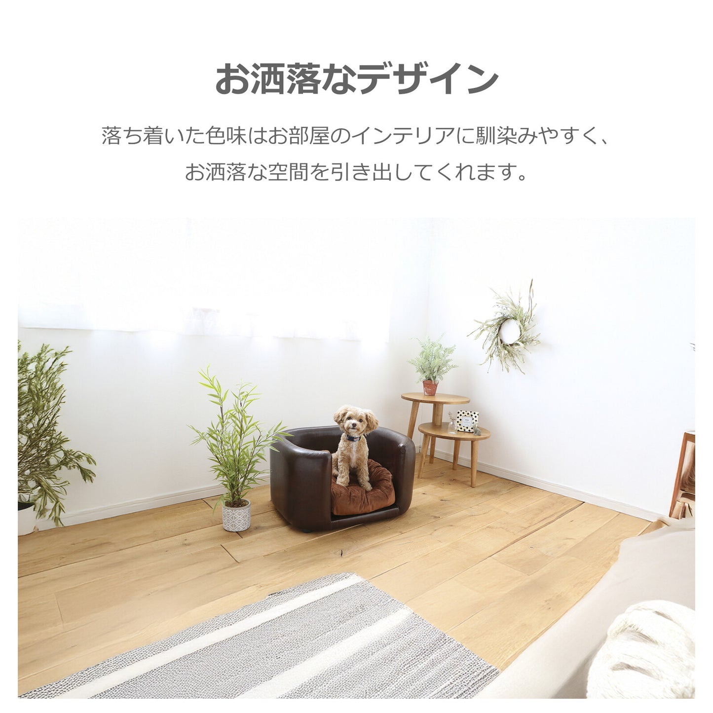 ペット用ソファ JUNO (ジュノ)