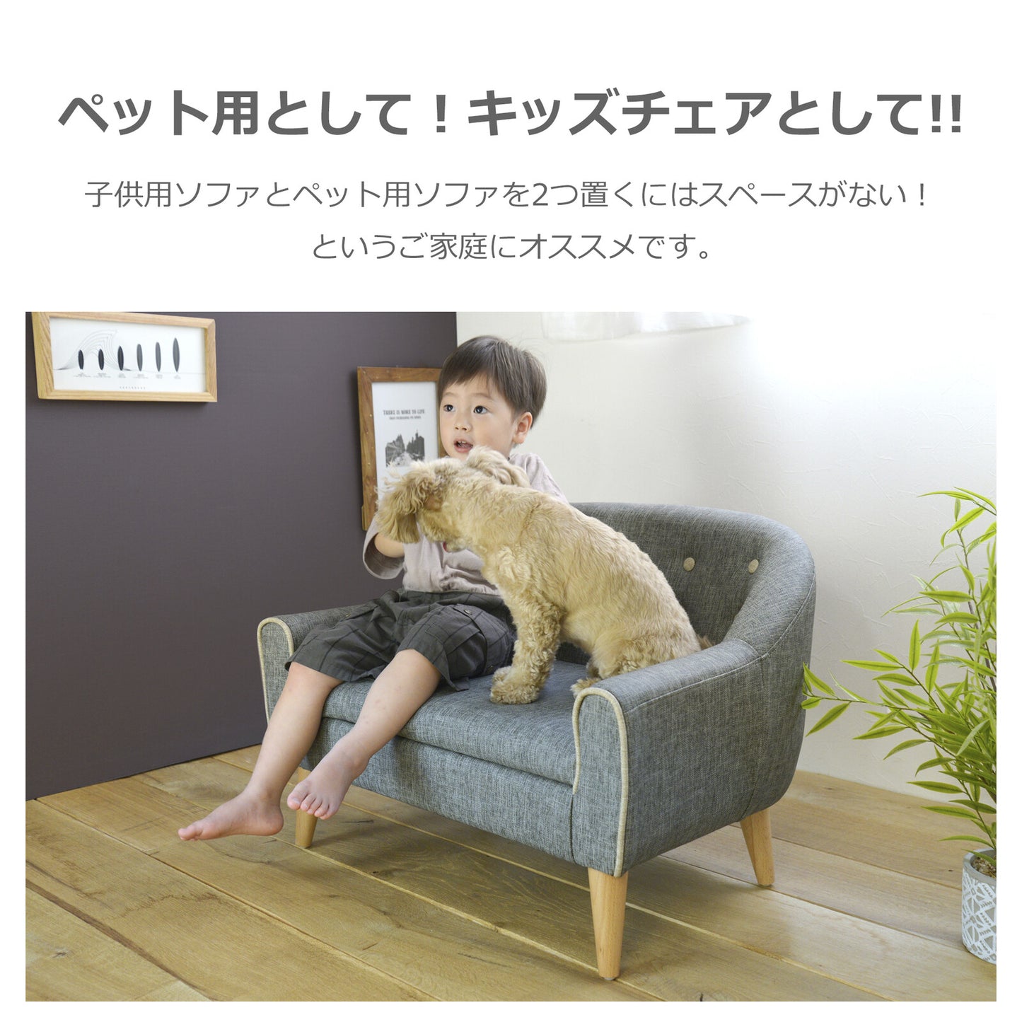 ペット用ソファ RILI (リリ)