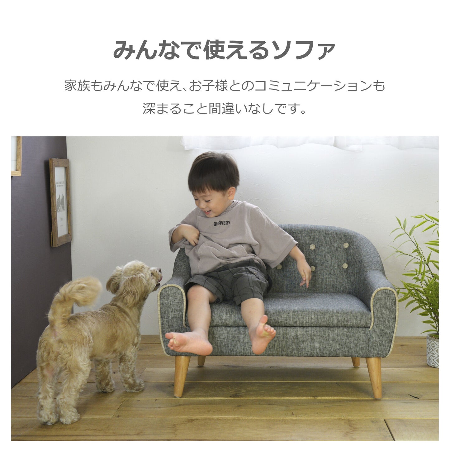 ペット用ソファ RILI (リリ)