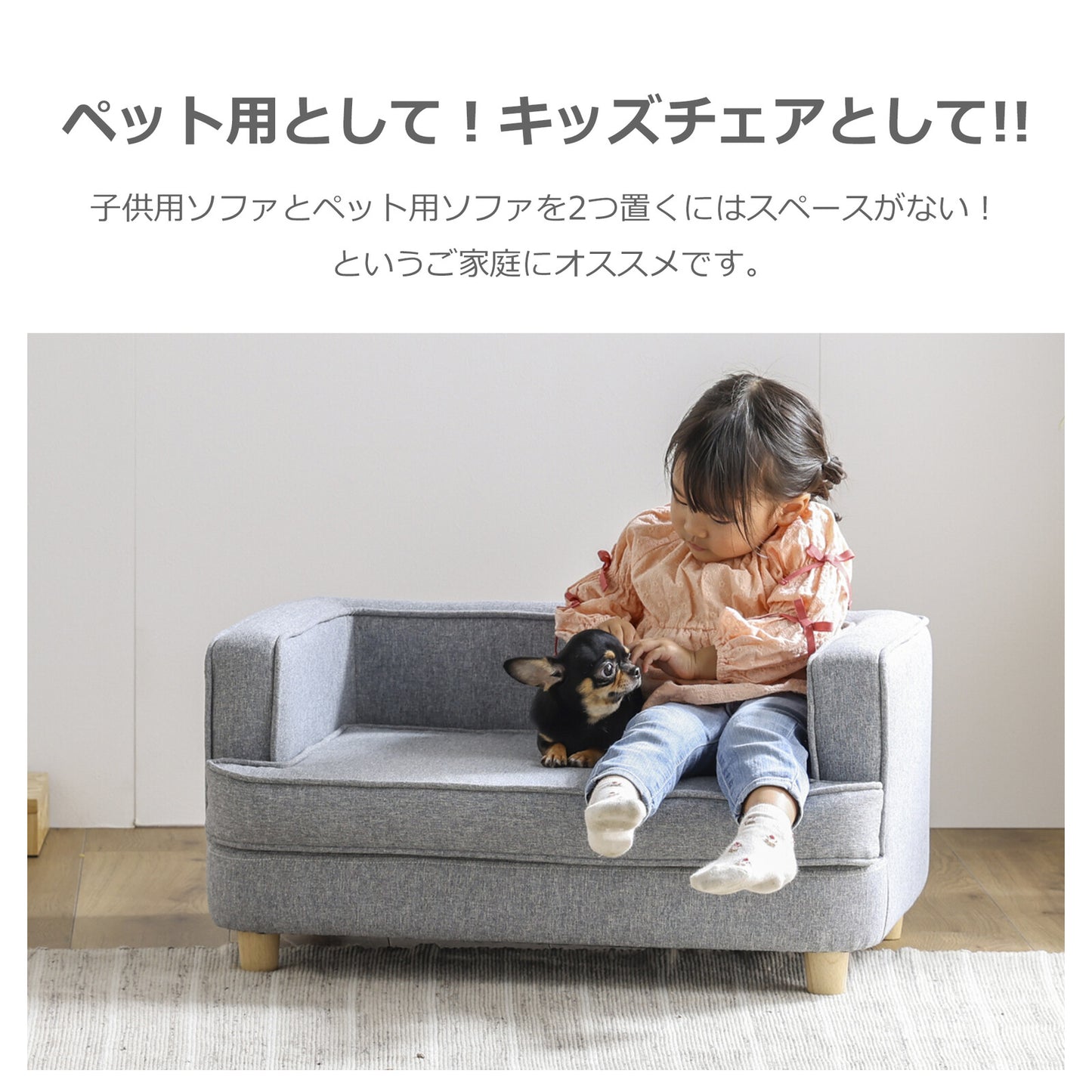 ペット用ソファ PAUL (ポール)