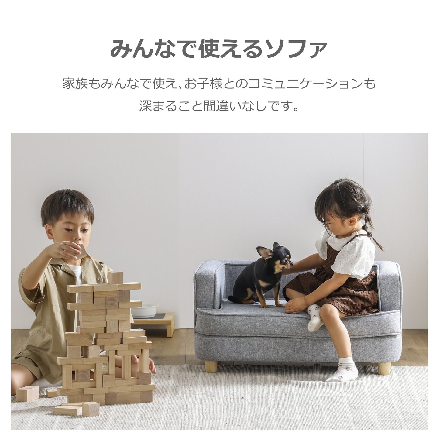 ペット用ソファ PAUL (ポール)