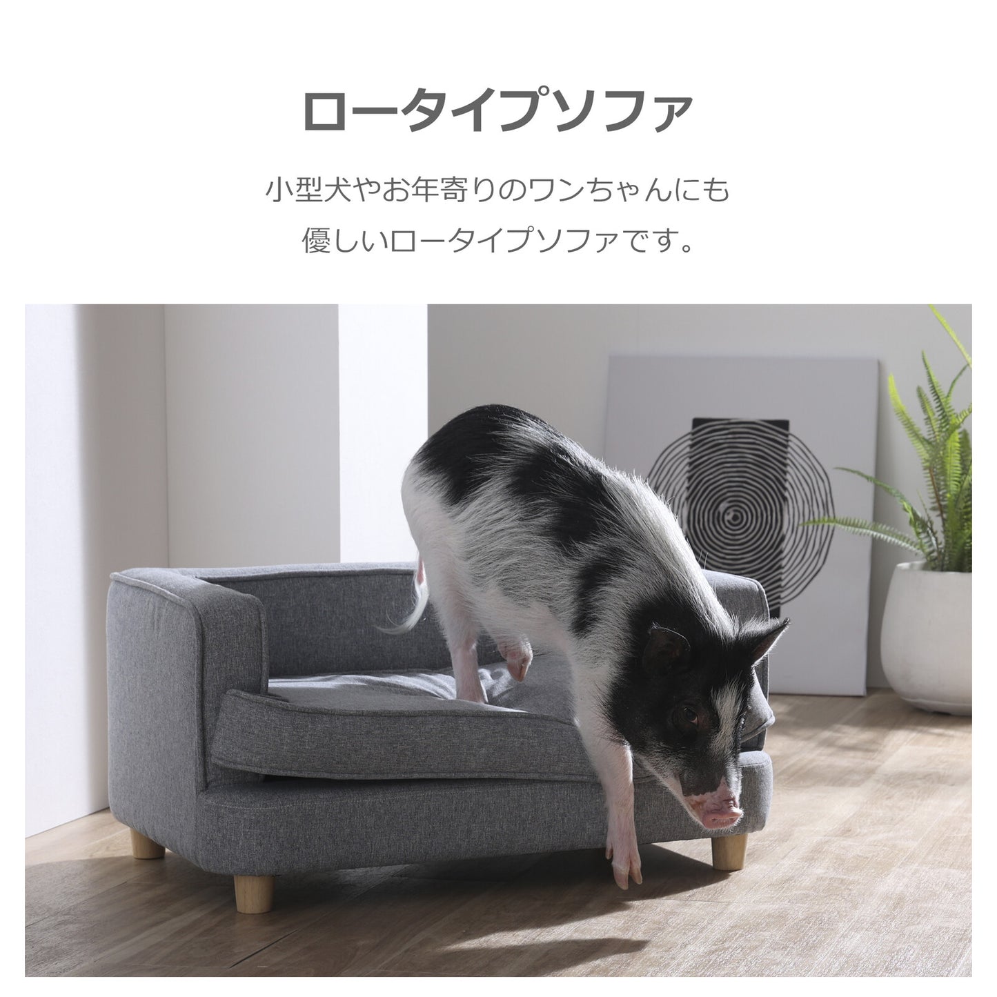 ペット用ソファ PAUL (ポール)
