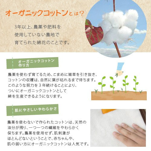 【ベビー布団】ソレイユ オーガニック ロイヤル ベビーふとん7点セット 日本製