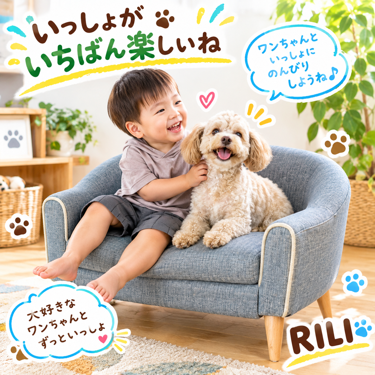 ペット向け家具・遊び場