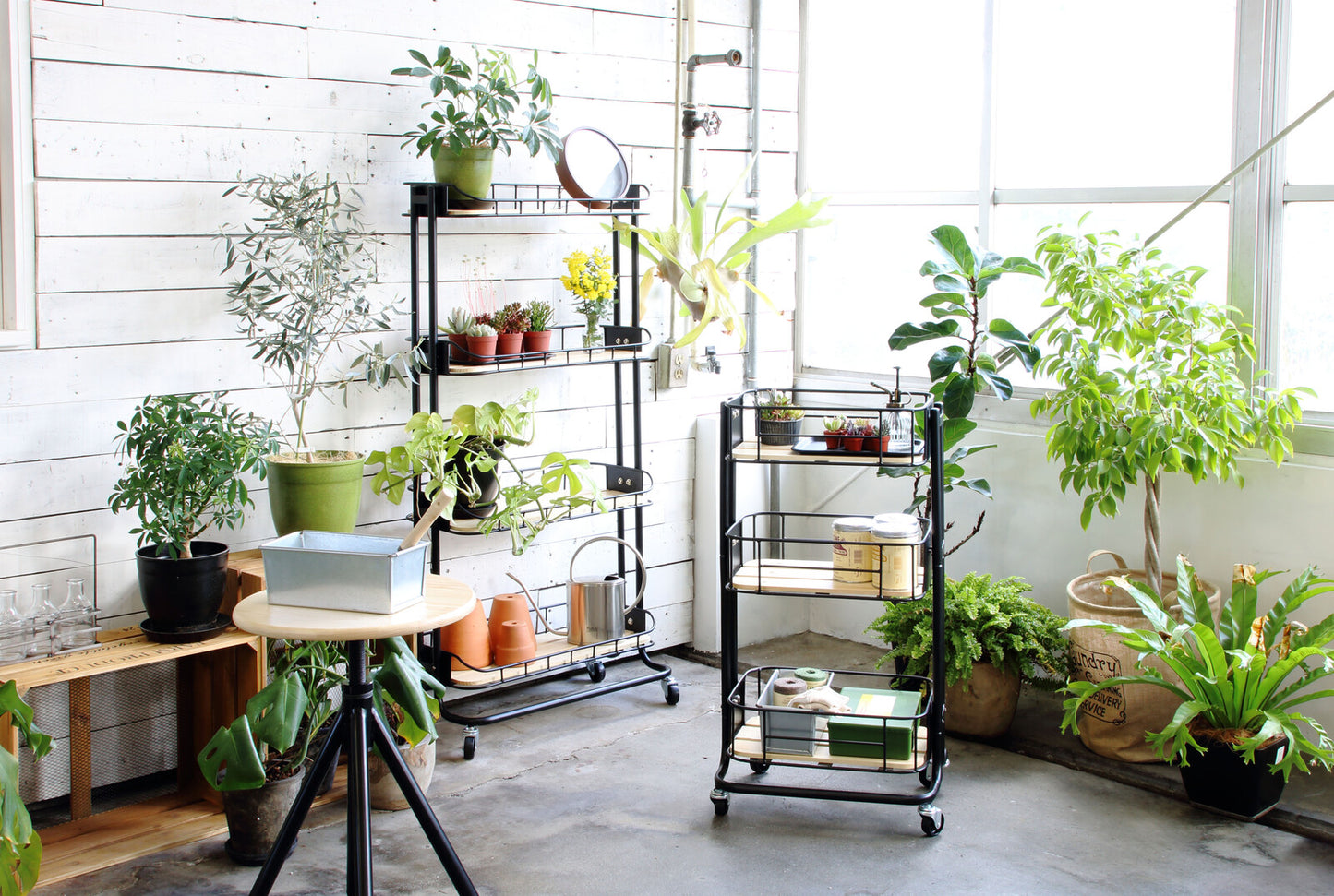 【Mash】BYケージ ワゴン