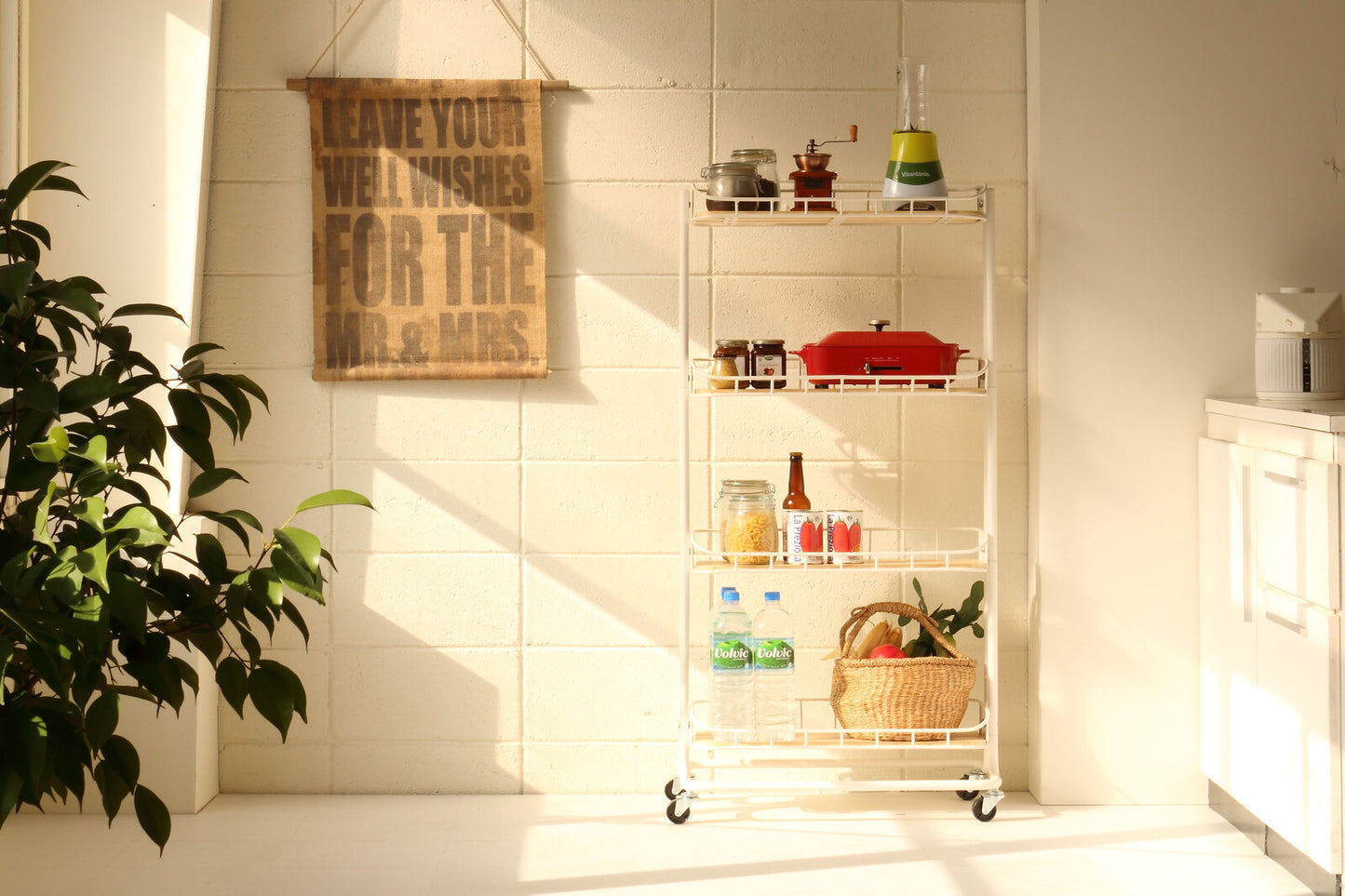 【Mash】BYケージ ラック