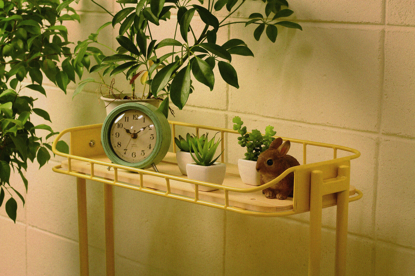 【Mash】BYケージ ラック