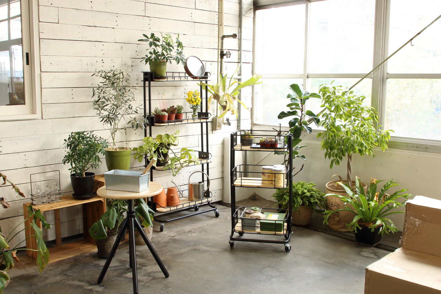 【Mash】BYケージ ラック