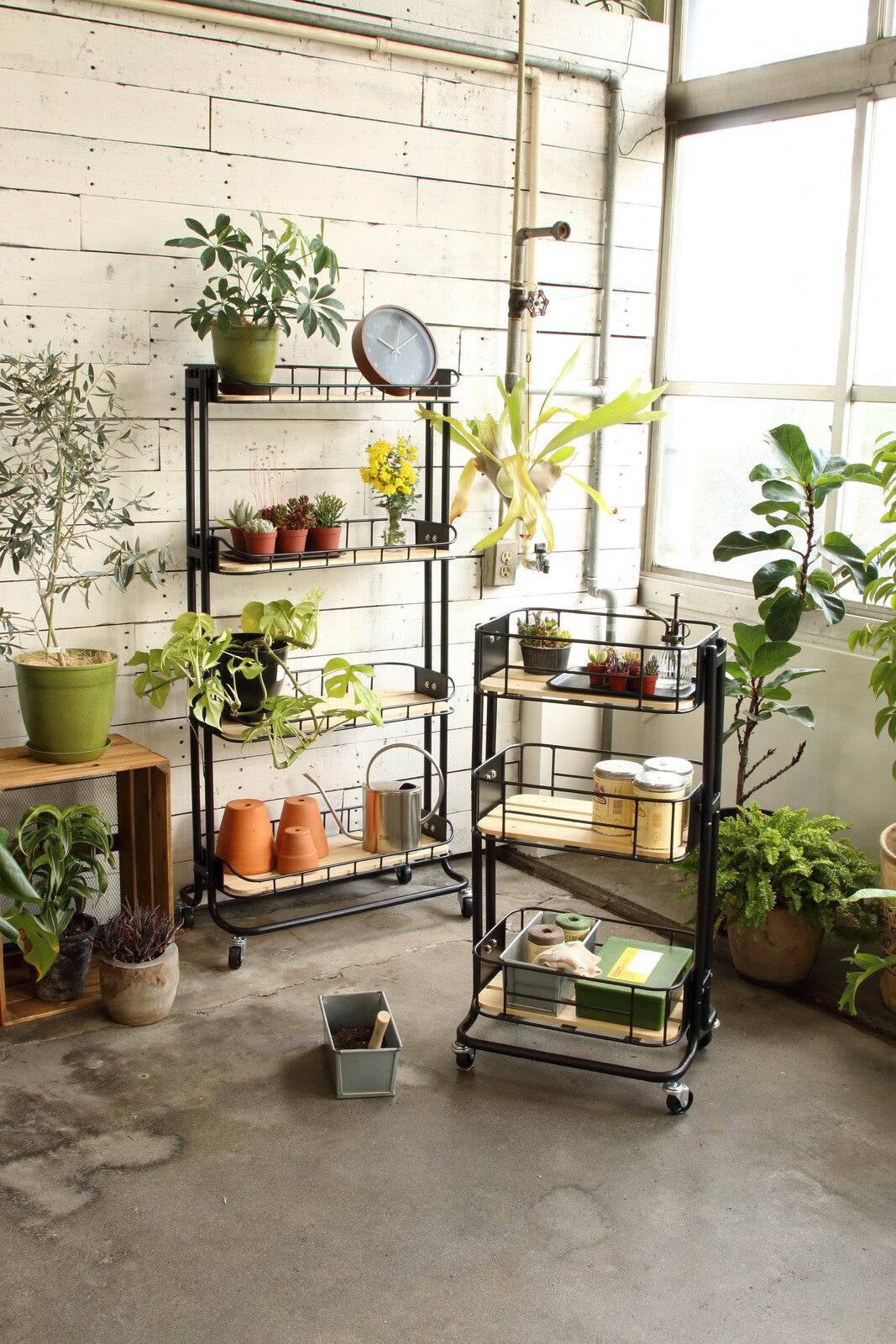 【Mash】BYケージ ラック