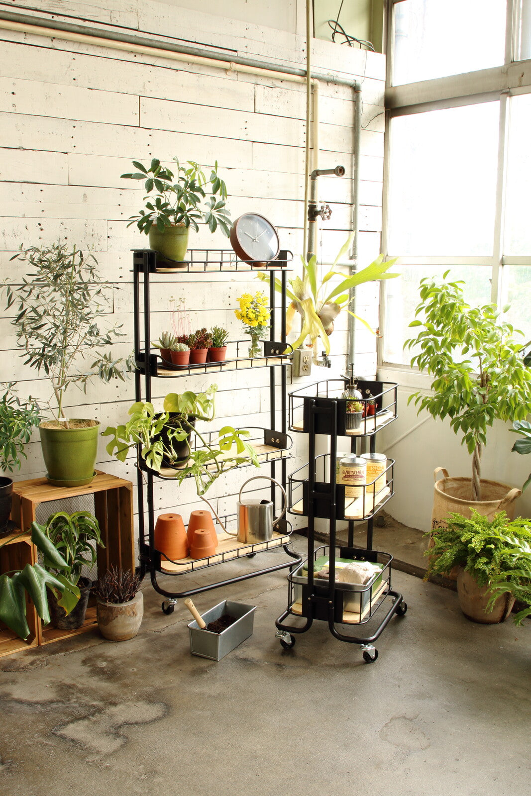 【Mash】BYケージ ラック