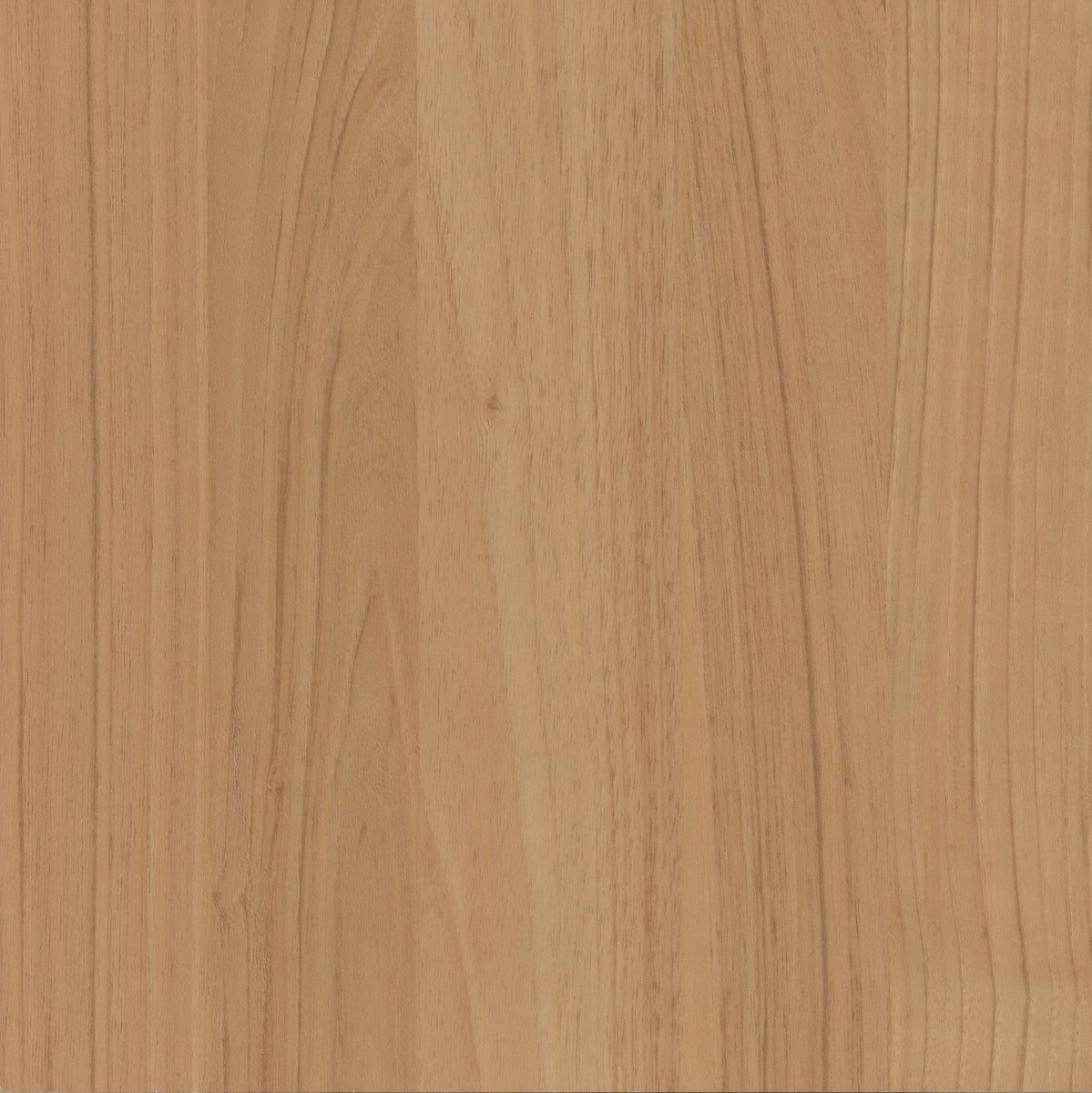 【セパルテック】収納 オープンラック セパルテック