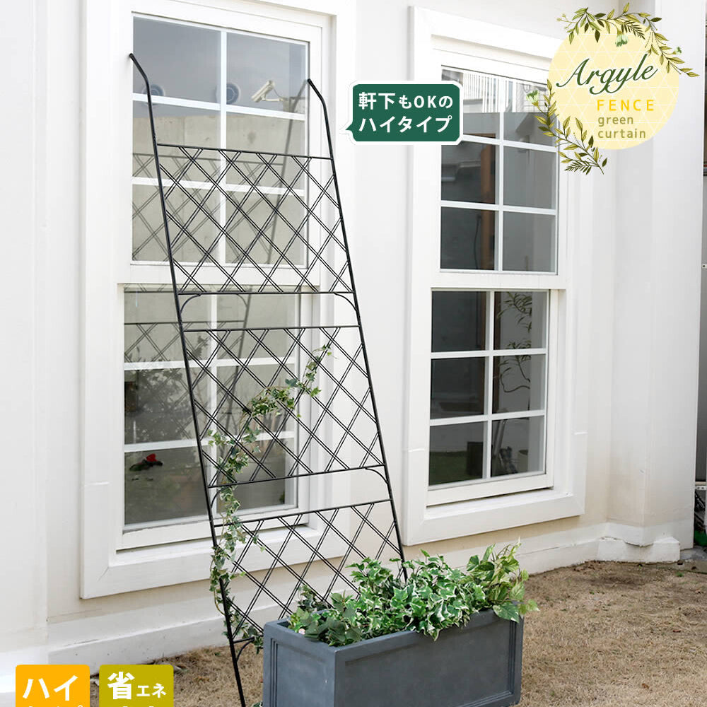 アイアン製グリーンカーテン　”Argyle“（アーガイル）