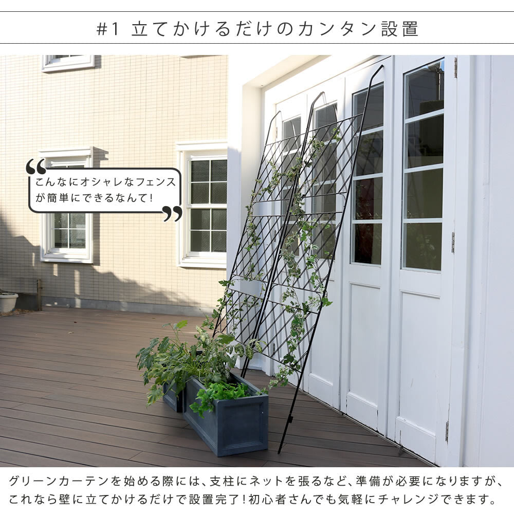 アイアン製グリーンカーテン　”Argyle“（アーガイル）