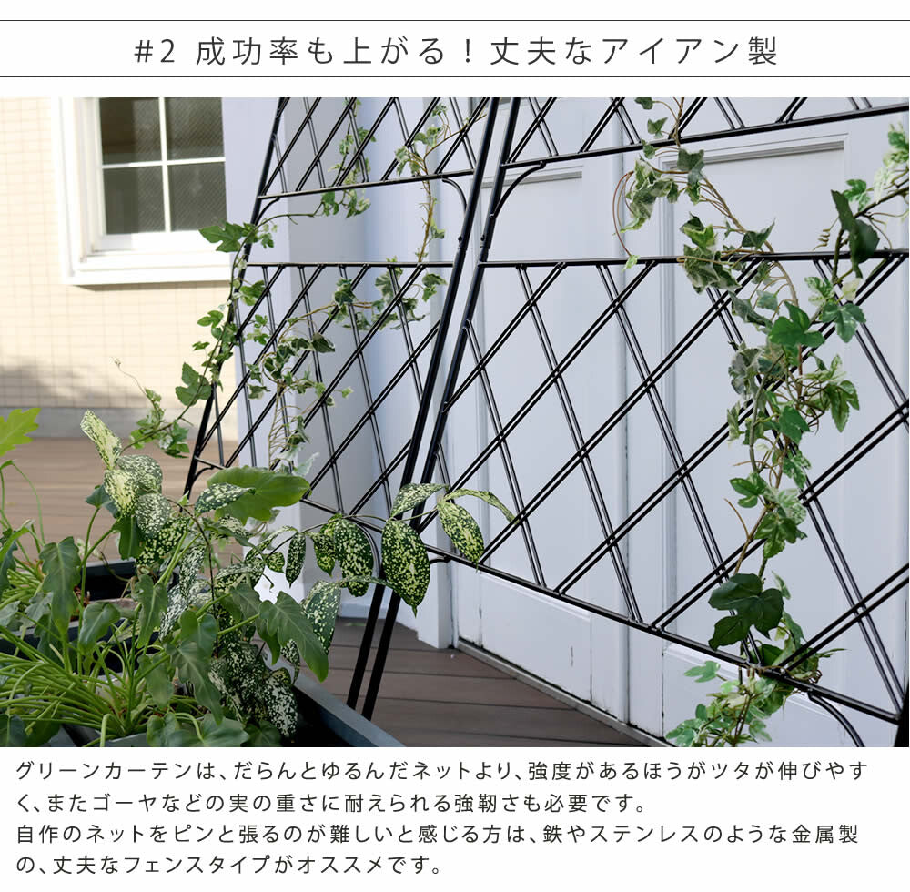 アイアン製グリーンカーテン　”Argyle“（アーガイル）
